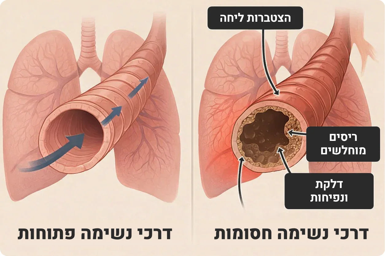 דרכי נשימה פתוחות מול דרכי נשימה חסומות