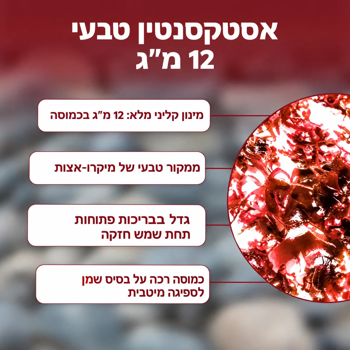 REVORA אסטקסנטין